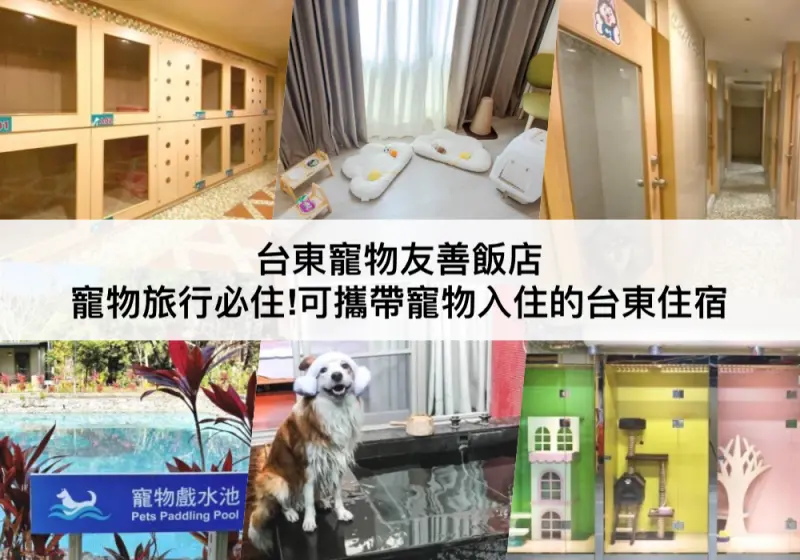 【三大台東寵物友善飯店】寵物旅行必住