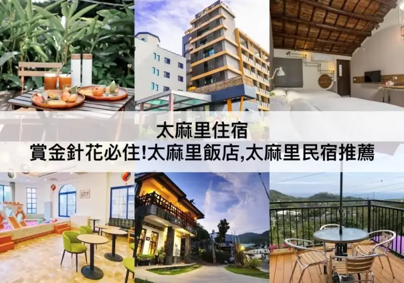 【三大太麻里住宿推薦】賞金針花必住!