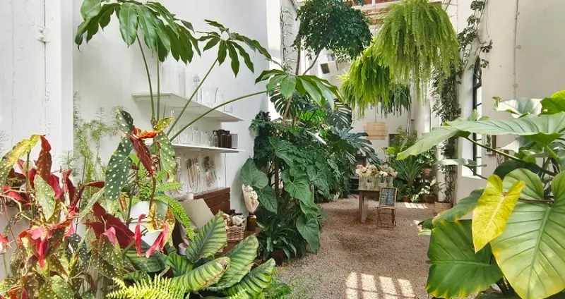 植物控一定愛的台南咖啡廳！「本植咖啡SAW Nature Cafe」結合花藝店和咖啡，植栽區超好拍、大人味手工焦糖布丁。