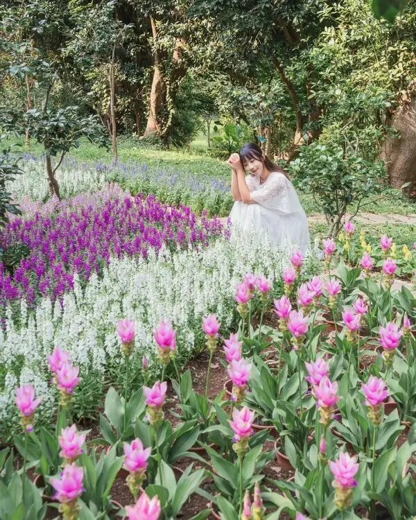 隱藏版雙北賞花點：花卉試驗中心 / WalkerLand窩客島整理提供 未經許可不可轉載