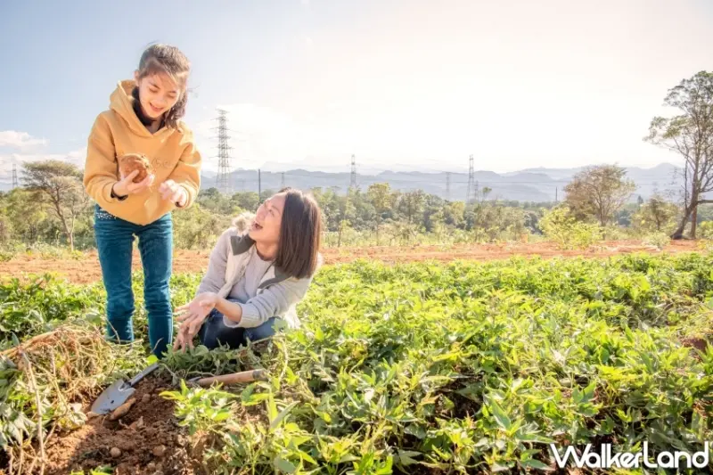 六福600元吃到飽