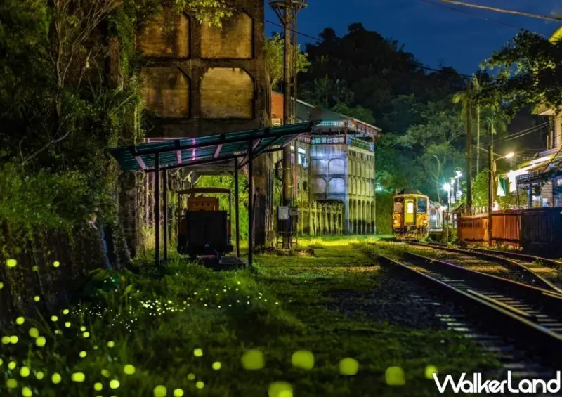 新北賞螢景點推薦/ WalkerLand窩客島整理提供 未經許可不可轉載。
