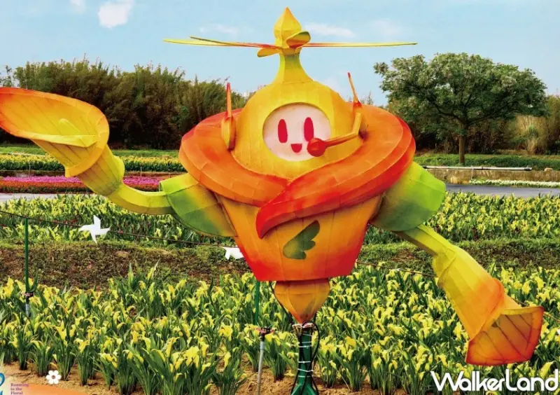 2024桃園彩色海芋/ WalkerLand窩客島整理提供 未經許可不可轉載。