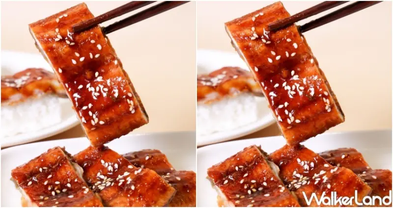 千葉火鍋 5月吃到飽優惠  / WalkerLand窩客島整理提供 未經許可，不得轉載