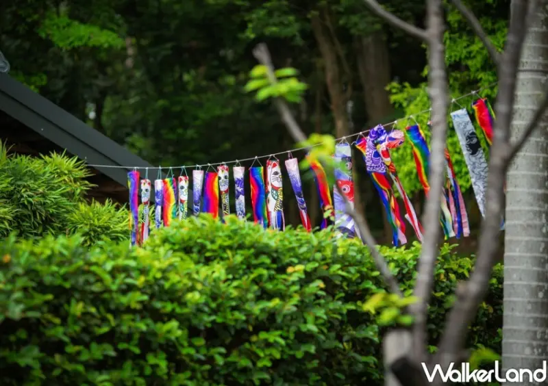 桃園神社 鯉魚流光祭り / WalkerLand窩客島整理提供 未經許可不可轉載。