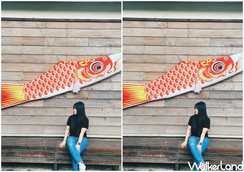 桃園神社 鯉魚流光祭り / WalkerLand窩客島整理提供 未經許可不可轉載。