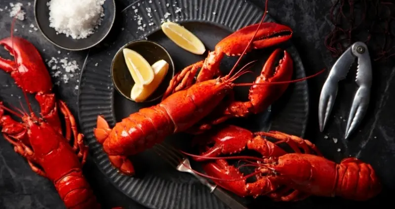 探索廚房龍蝦吃到飽！台北寒舍艾美「兒童節送限量寶寶旅行組」、自助餐龍蝦吃到飽，再加碼APP會員獨享85折。