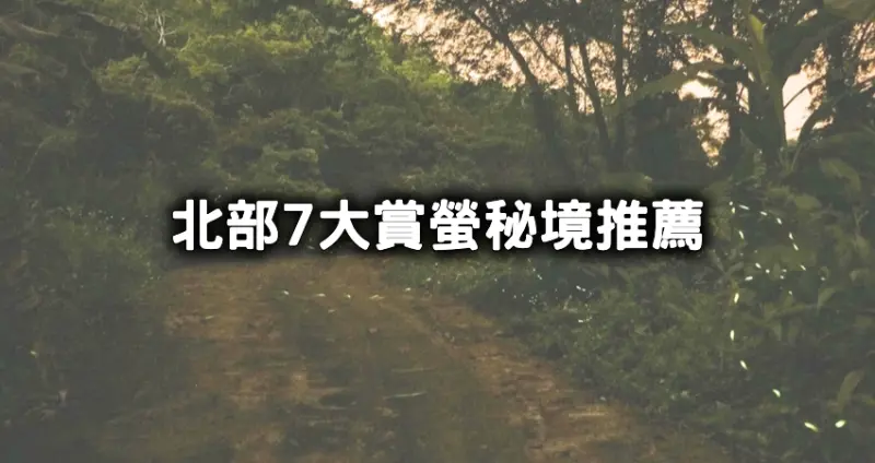 賞螢秘境帶你拍！北部7大「螢火蟲美拍景點」推薦清單，台北虎山步道、新店文山農場趁螢火蟲季節朝聖。