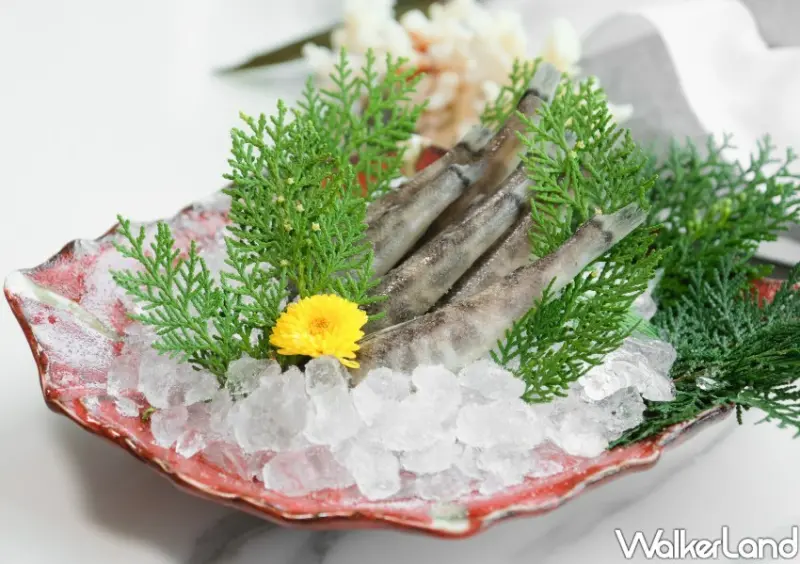 宮崎·延岡魚祭/ WalkerLand窩客島整理提供 未經許可不可轉載。