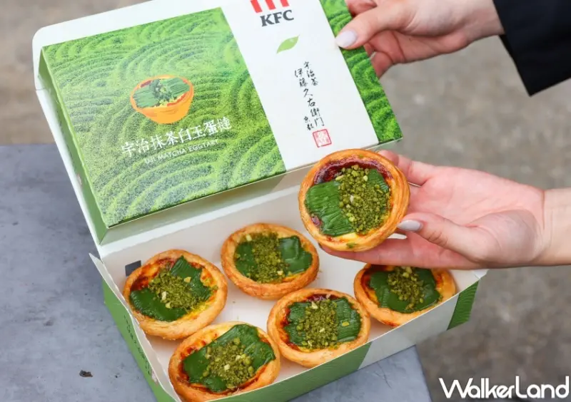 肯德基 宇治抹茶白玉蛋撻 / WalkerLand窩客島整理提供 未經許可，不得轉載