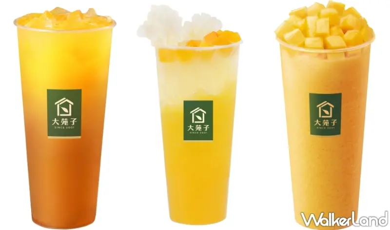 大苑子 X Häagen-Dazs聯名「夏日搖滾」