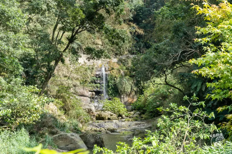 嘉義必訪瀑布步道園區 #圓潭自然生態園區 / WalkerLand窩客島整理提供 未經許可不可轉載