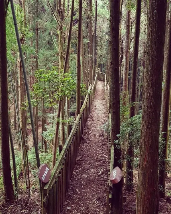雲林必拍打卡景點推薦：木馬古道 / WalkerLand窩客島整理提供 未經許可不可轉載