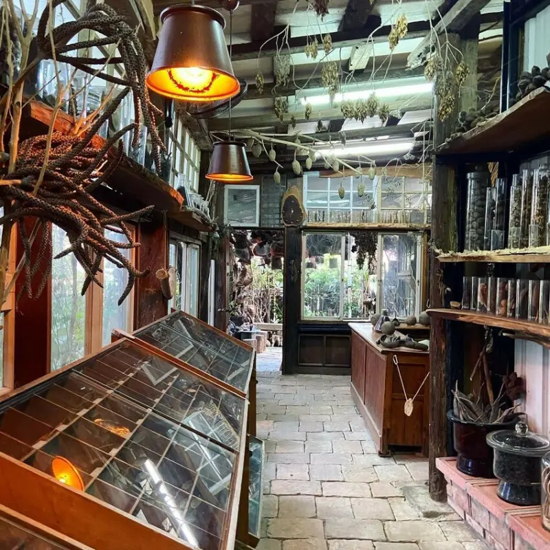  台南特色打卡點：千畦種子博物館/ WalkerLand窩客島整理提供 未經許可不可轉載