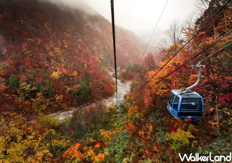 2024TTE台北旅展 可樂旅遊優惠 / WalkerLand窩客島整理提供 未經許可不可轉載。