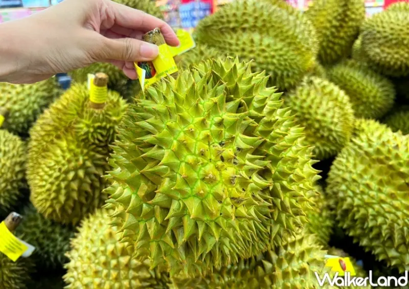 家樂福 泰國榴槤販售資訊  / WalkerLand窩客島整理提供 未經許可，不得轉載