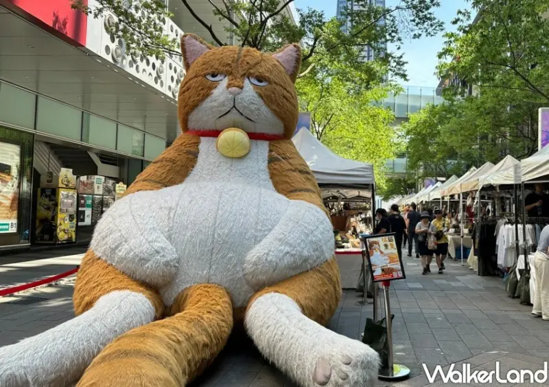 橘貓重重X果果創意市集/ WalkerLand窩客島整理提供 未經許可不可轉載。