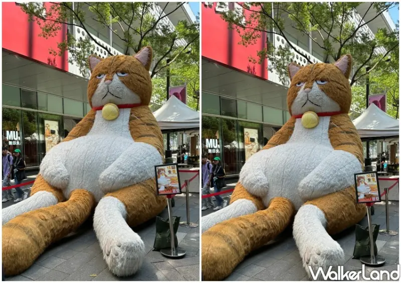 橘貓重重X果果創意市集/ WalkerLand窩客島整理提供 未經許可不可轉載。