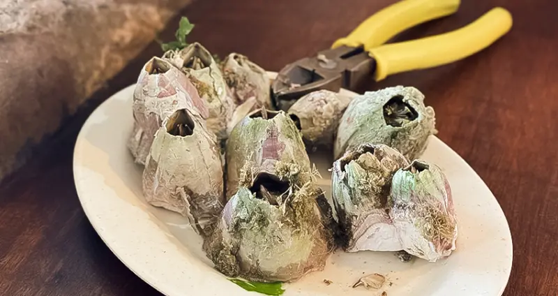 藤壺可以吃嗎！北海岸餐廳推薦「靠海生活」新奇菜單一次看，海菜藤壺料理超讚，來貢寮一日遊別錯過。