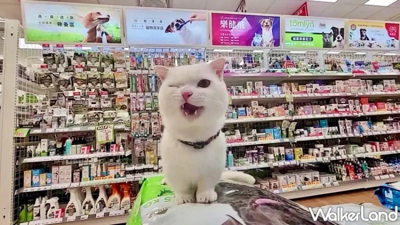 寵物公園免費健檢活動