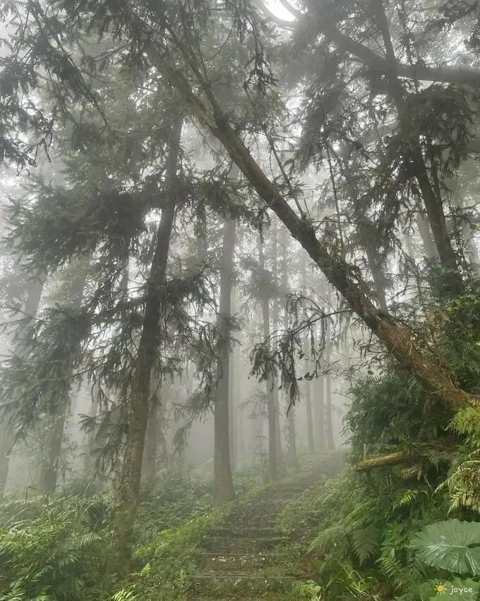  苗栗大湖打卡景點推薦：薑麻園/ WalkerLand窩客島整理提供 未經許可不可轉載
