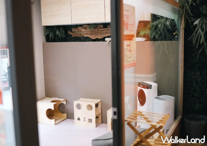 台北狐獴咖啡廳「75度獴」預約方式、菜單一次看/ WalkerLand窩客島整理提供 未經許可不可轉載。