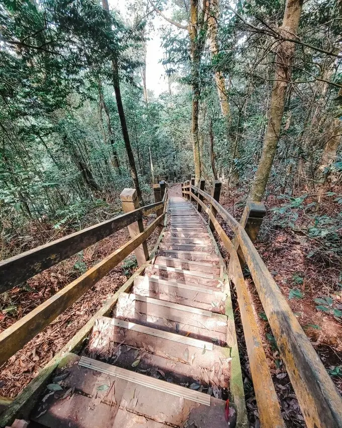  苗栗大湖打卡景點推薦：馬那邦山登山步道/ WalkerLand窩客島整理提供 未經許可不可轉載