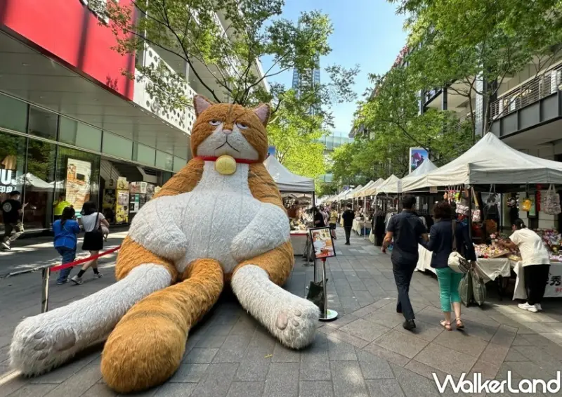 橘貓重重X果果創意市集/ WalkerLand窩客島整理提供 未經許可不可轉載。
