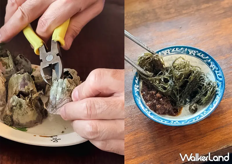 藤壺哪裡吃？北海岸餐廳推薦「靠海生活」新奇菜單一次看/ WalkerLand窩客島整理提供 未經許可不可轉載。