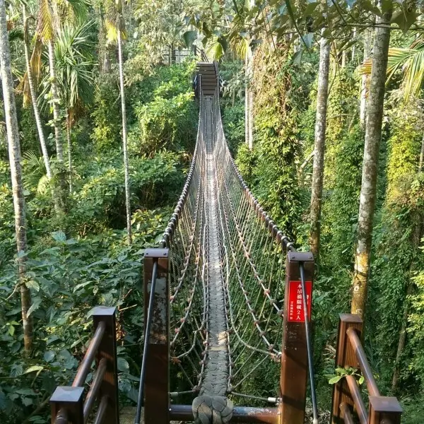  雲林必拍打卡景點推薦：華山小天梯&情人橋/ WalkerLand窩客島整理提供 未經許可不可轉載