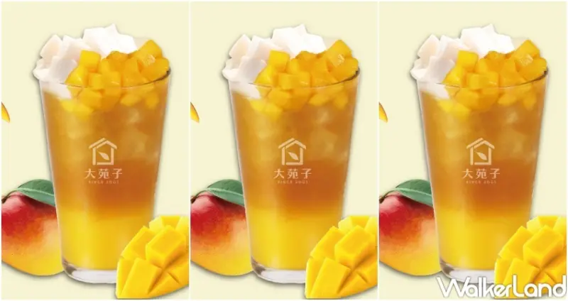 大苑子X欣葉 聯名新品 芒著杏福 / WalkerLand窩客島整理提供 未經許可，不得轉載