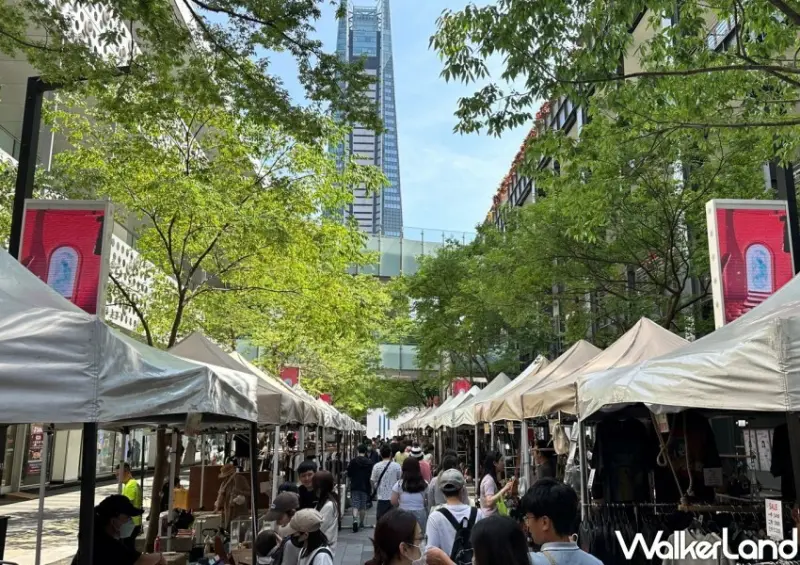 橘貓重重X果果創意市集/ WalkerLand窩客島整理提供 未經許可不可轉載。