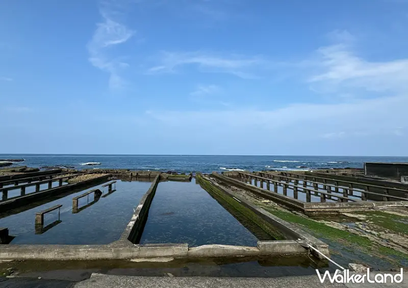 藤壺哪裡吃？北海岸餐廳推薦「靠海生活」新奇菜單一次看/ WalkerLand窩客島整理提供 未經許可不可轉載。