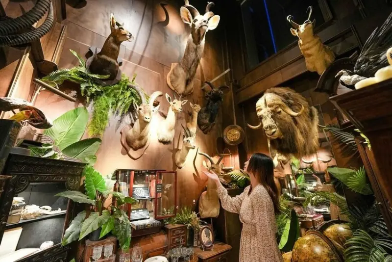  台南特色打卡點：仰角舶物yang jeaw/ WalkerLand窩客島整理提供 未經許可不可轉載