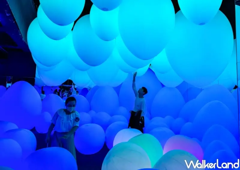 teamLab共創！未來園 台北  / WalkerLand窩客島提供 未經許可，不得轉載
