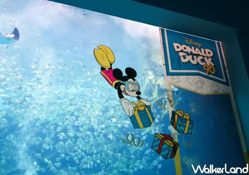 Xpark唐老鴨生日派對「Let’s Xparty！九十要派對！」  / WalkerLand窩客島提供 未經許可，不得轉載