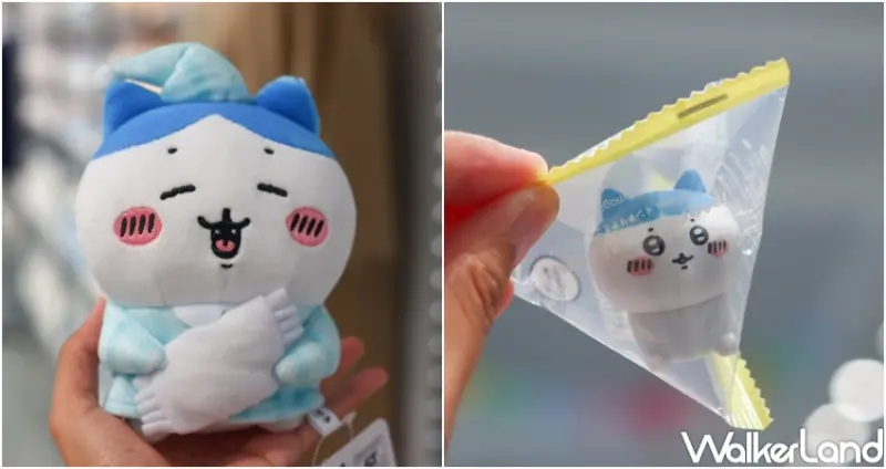 吉伊卡哇華山快閃店  / WalkerLand窩客島提供 未經許可，不得轉載