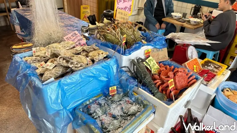 藤哲商行「河豚拉麵」每日限定30碗