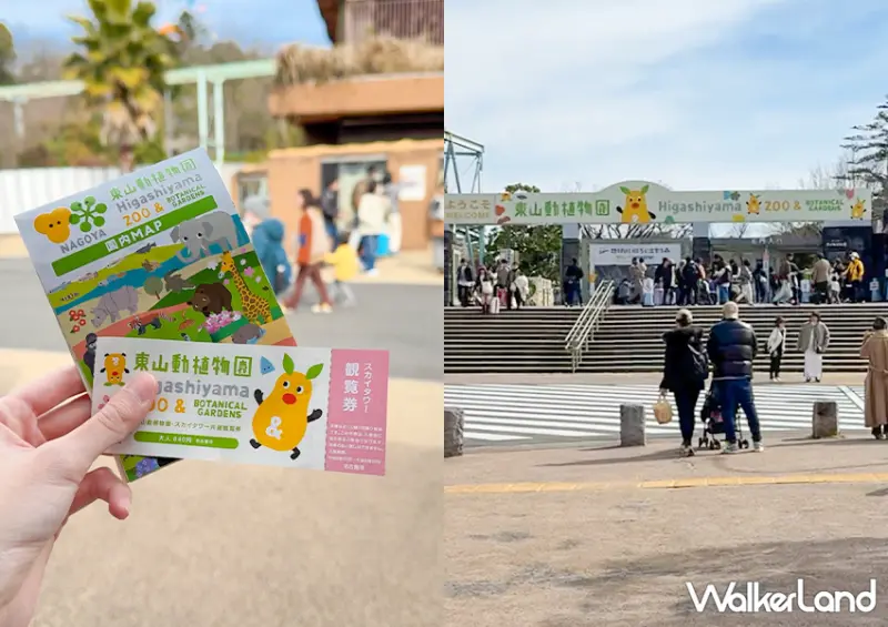 呆萌小熊貓！日本名古屋咖啡廳「小熊貓尾巴熱狗」排隊半小時也要吃/ WalkerLand窩客島整理提供 未經許可不可轉載。