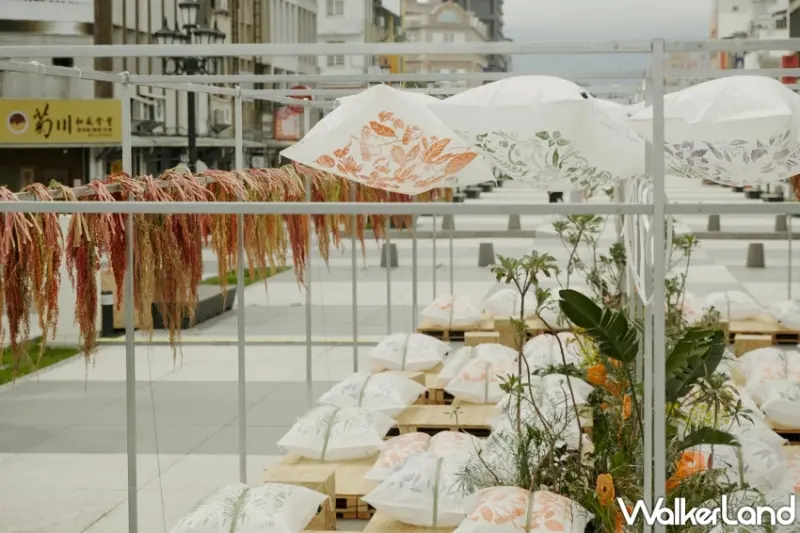 2024花蓮城市空間藝術節「裸花蓮」