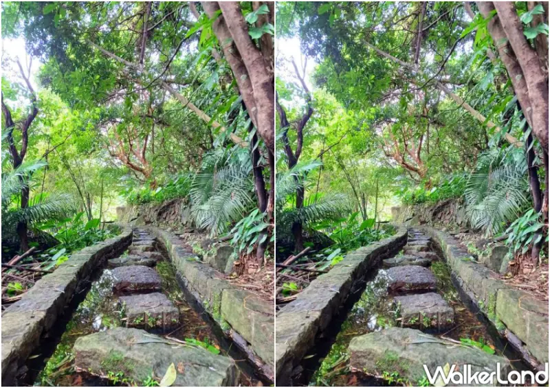 士林溪山百年古圳 / WalkerLand窩客島整理提供 未經許可不可轉載。