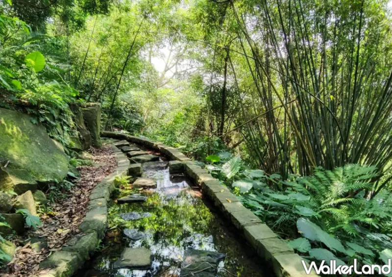 士林溪山百年古圳 / WalkerLand窩客島整理提供 未經許可不可轉載。