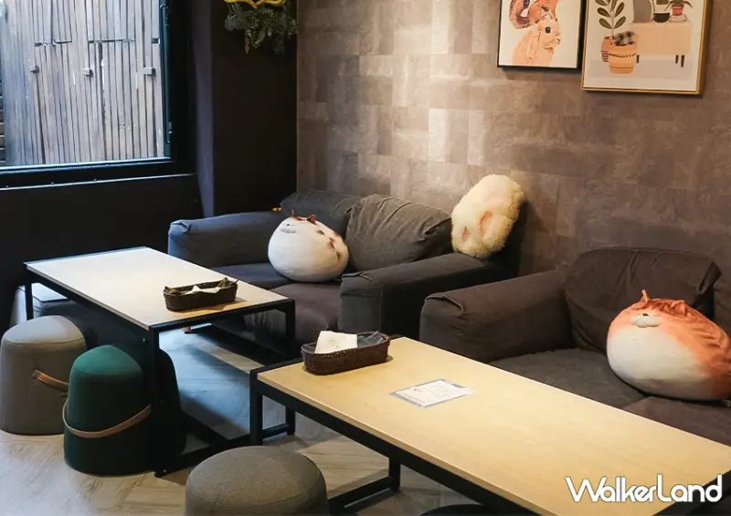 不只是貓咪咖啡廳！台北動物咖啡廳「肉球森林」​​​​​​​大嘴鳥、狐獴都有/ WalkerLand窩客島整理提供 未經許可不可轉載。