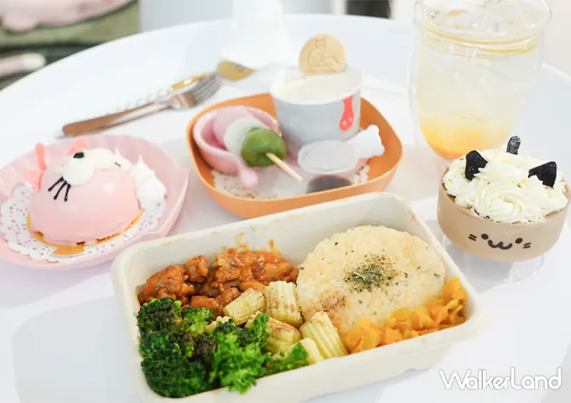 中山站貓咪咖啡廳推薦「紅玥緬因貓藝廊」要筆記/ WalkerLand窩客島整理提供 未經許可不可轉載。