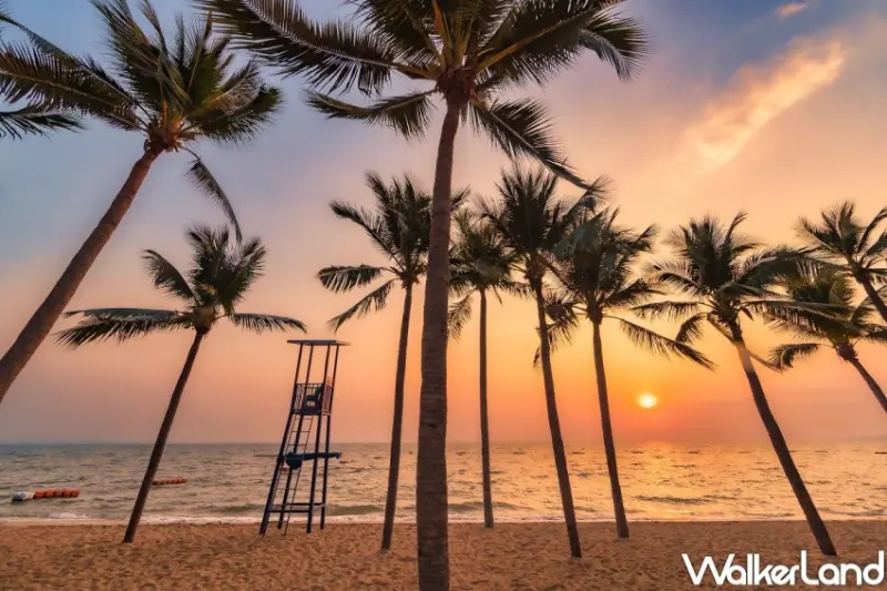 泰國芭達雅 / WalkerLand窩客島提供 未經許可，不得轉載