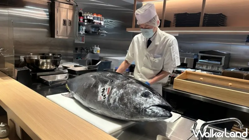 若櫻壽司 西門店 開幕半價優惠 