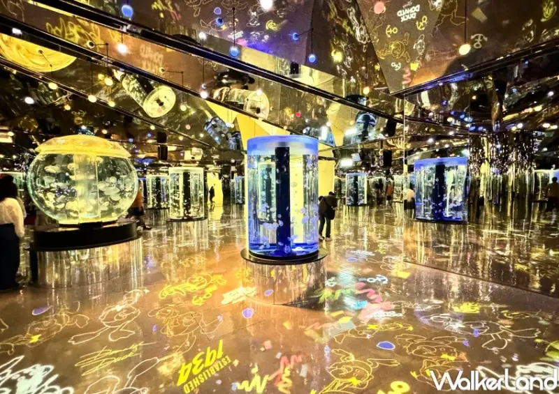 Xpark唐老鴨生日派對「Let’s Xparty！九十要派對！」  / WalkerLand窩客島提供 未經許可，不得轉載