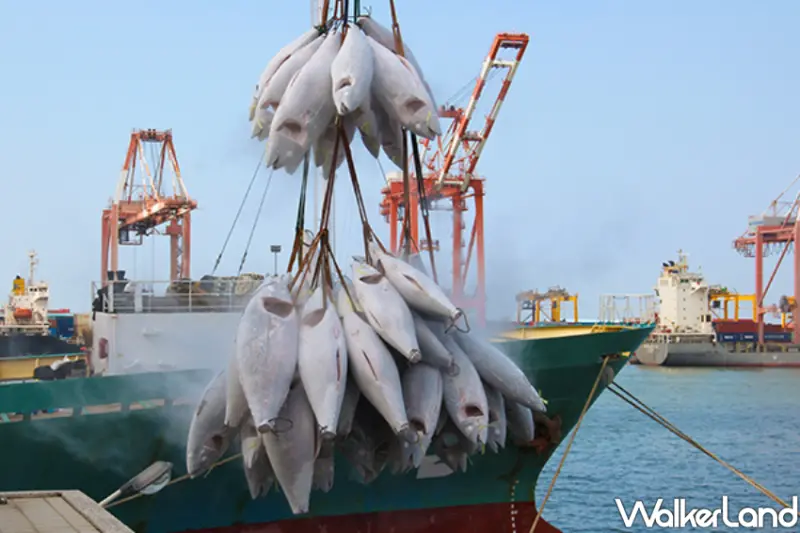 順億鮪魚專賣店降價菜單/ WalkerLand窩客島整理提供 未經許可不可轉載。