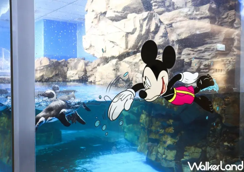 Xpark唐老鴨生日派對「Let’s Xparty！九十要派對！」  / WalkerLand窩客島提供 未經許可，不得轉載