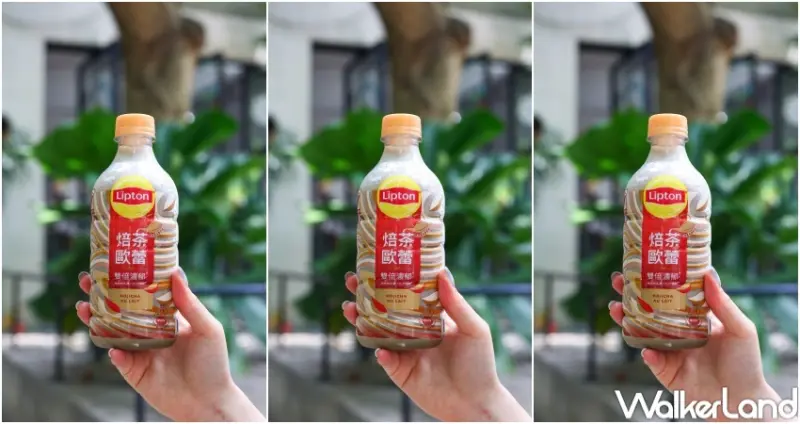 立頓焙茶歐蕾 / WalkerLand窩客島提供 未經許可，不得轉載